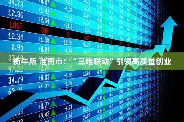 衡牛所 淮南市：“三维联动”引领高质量创业