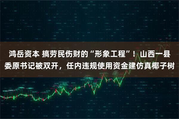 鸿岳资本 搞劳民伤财的“形象工程”！山西一县委原书记被双开，任内违规使用资金建仿真椰子树