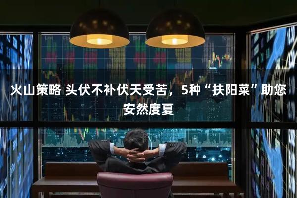 火山策略 头伏不补伏天受苦，5种“扶阳菜”助您安然度夏
