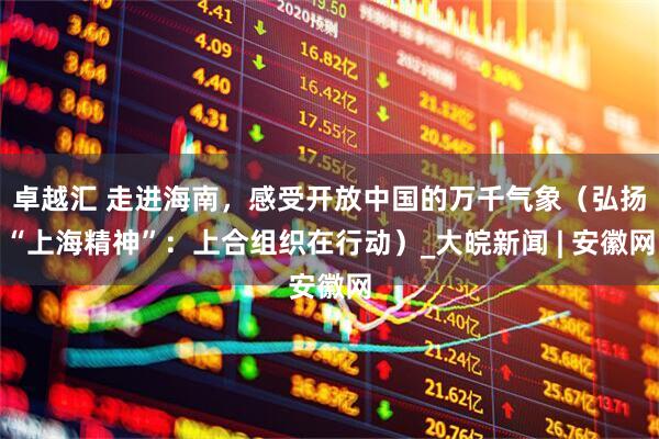 卓越汇 走进海南，感受开放中国的万千气象（弘扬“上海精神”：上合组织在行动）_大皖新闻 | 安徽网