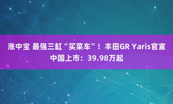 涨中宝 最强三缸“买菜车”！丰田GR Yaris官宣中国上市：39.98万起