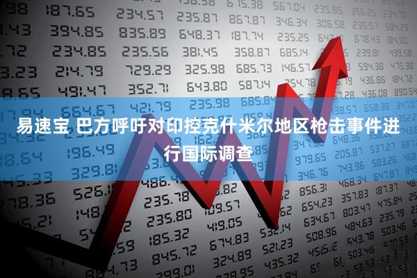 易速宝 巴方呼吁对印控克什米尔地区枪击事件进行国际调查