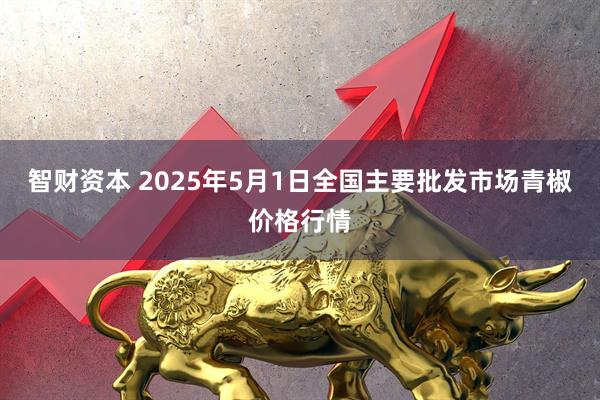 智财资本 2025年5月1日全国主要批发市场青椒价格行情